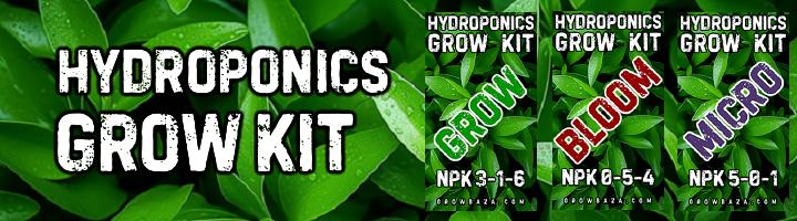 Hydroponics Grow Kit 3x500mL